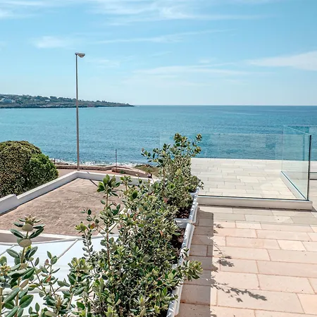 Cordella 33 * 파투